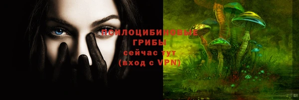 прущие крисы Магас