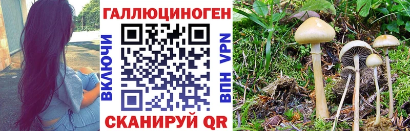 Купить  Ардон  Галлюциногенные грибы прущие грибы 