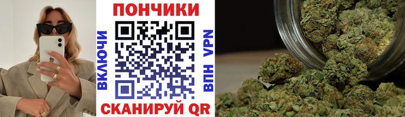 Купить где  Ардон  Бошки Шишки OG Kush 